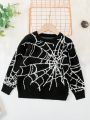 SHEIN Kids HYPEME Young Boys Spider Web Pattern Sweater