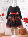 SHEIN Kids CHARMNG Little Girls' Flower Embroidery Sheer Hem Long Sleeve Dress