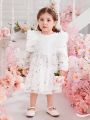 Fashionable Baby Girl'S Mesh Tulle Princess Dress