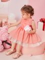 Heart Pleated Ruffle Mesh Baby Girl Dress