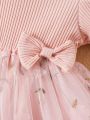 Baby Girl Butterfly Knot Front Bubble Sleeve Embroidery Mesh Princess Dress