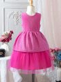 Young Girls' Sleeveless Mesh Patchwork Puffy Dress