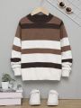 SHEIN Kids EVRYDAY Tween Boy Color Block Sweater