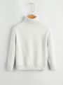 Boys' Solid Color Turtleneck Sweater (toddler/little Kid/big Kid)