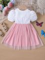 SHEIN Kids Nujoom Little Girls' Color Block Puff Short Sleeved Dress With Flower Embroidery And Mesh Splice