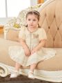 Baby Girls' Lace Puff Sleeve Dress With Butterfly Applique Detail