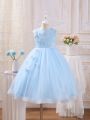 Young Girl's Butterfly Applique Decorated Mesh Sleeveless Party Dress