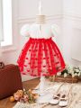 Baby Girls' Romantic Heart Mesh Tutu Dress, Suitable For Daily And Casual Wear In Spring