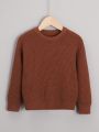 Young Boy Solid Drop Shoulder Sweater