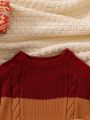 SHEIN Young Boy Colorblock Cable Knit Raglan Sleeve Sweater