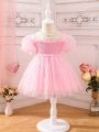 Baby Heart Mesh Overlay Puff Sleeve Frill Trim Dress