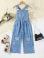 Toddler Girls' Light Wash Denim Overalls