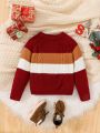 SHEIN Young Boy Colorblock Cable Knit Raglan Sleeve Sweater