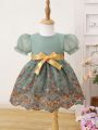 Baby Girl Embroidered Mesh Panel Dress