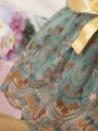 Baby Girl Embroidered Mesh Panel Dress