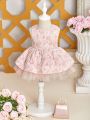 Baby Girls' Jacquard Elegant And Romantic Design Mesh Splice Dress