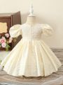 Baby Girl Solid Puff Sleeve Party Dress