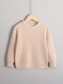 Young Boy Solid Drop Shoulder Sweater